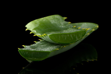 Image showing Sliced aloe leaf