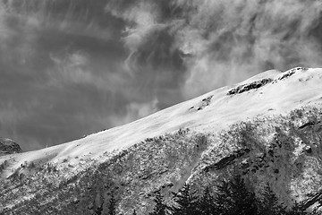 Image showing Black and white view on off-piste ski slope