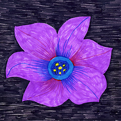 Image showing Decorative petunia flower
