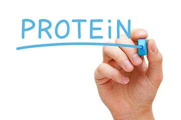 Image showing Protein Blue Marker