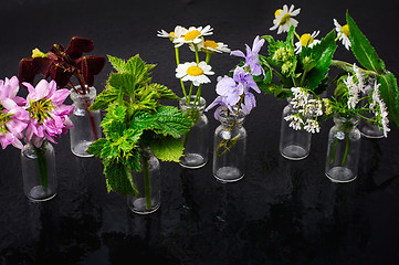 Image showing Jars with plants