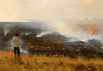 Image showing Field On Fire