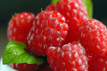 Image showing Wild raspberry in ceramic bowl