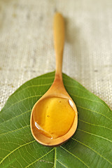 Image showing honey in a wooden spoon