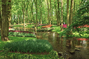 Image showing Tulip field in Keukenhof Gardens, Lisse, Netherlands