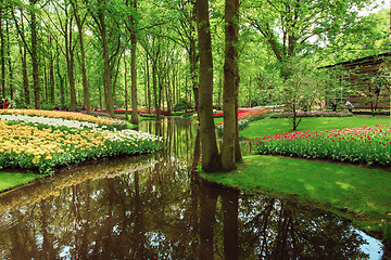 Image showing Tulip field in Keukenhof Gardens, Lisse, Netherlands