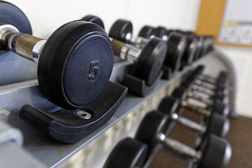 Image showing Dumbbell
