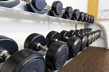 Image showing Sports dumbbells