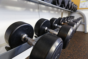 Image showing Sports dumbbells