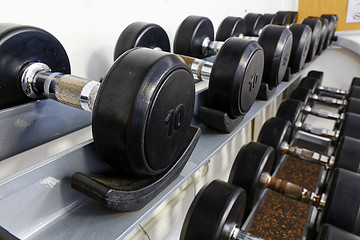 Image showing Sports dumbbells