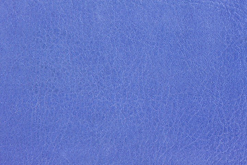 Image showing Azure Leather