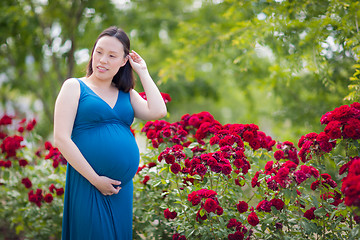 Image showing Young Pregnant Chinese Woman Portrait in Park