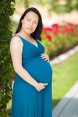 Image showing Young Pregnant Chinese Woman Portrait in Park