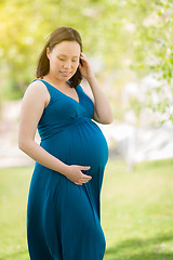 Image showing Young Pregnant Chinese Woman Portrait in Park