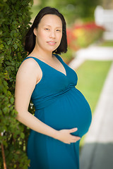 Image showing Young Pregnant Chinese Woman Portrait in Park