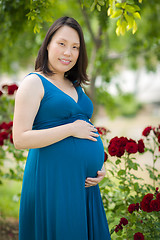 Image showing Young Pregnant Chinese Woman Portrait in Park