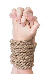 Image showing Tied hands, isolated  white