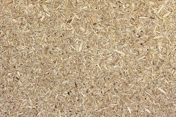 Image showing Compressed Sawdust Texture