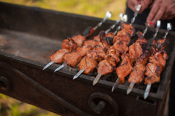 Image showing shashlik on a grill