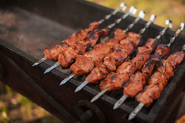 Image showing shashlik on a grill