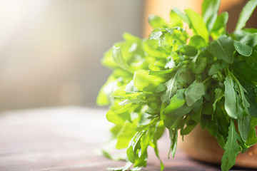 Image showing Fresh organic rucola leaves