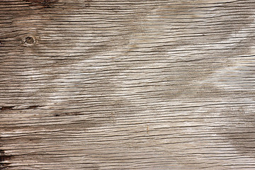 Image showing Grunge Wood