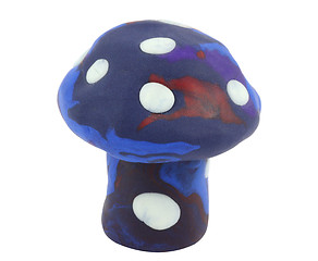 Image showing Mushroom