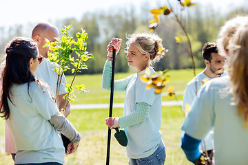 Image showing group of volunteers planting trees in park