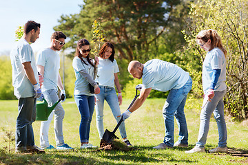 Image showing group of volunteers planting tree in park