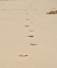 Image showing footprints