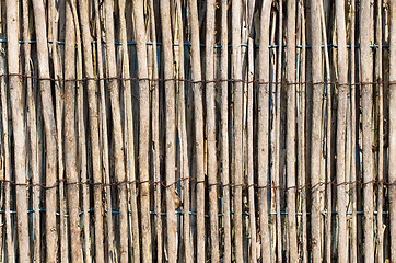 Image showing Weathered bamboo or reed straw background