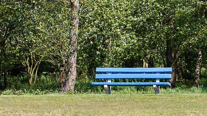 Image showing Blue bench in a public park