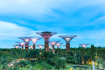 Image showing Garden by The Bay, Singapore