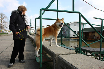 Image showing Lady and her dog