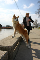 Image showing Lady and her dog