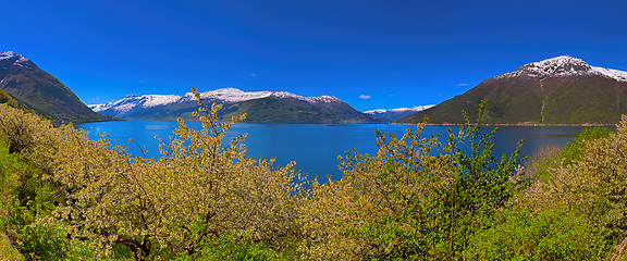 Image showing Hardangerfjord in Norway