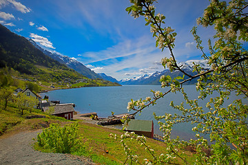 Image showing Hardangerfjord in Norway