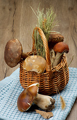 Image showing Raw Forest Mushrooms