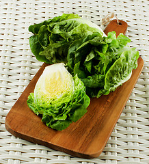 Image showing Fresh Romaine Lettuce