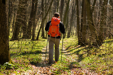 Image showing Active healthy man hiking in beautiful forest