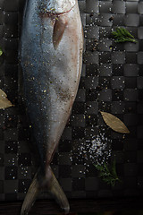 Image showing raw tuna fish