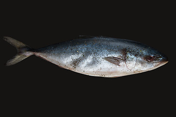 Image showing raw tuna fish