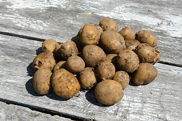 Image showing Newly harvested potatoes