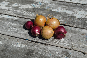 Image showing Raw onions on a rustic table