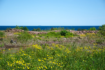 Image showing Summer view over the sea