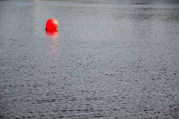 Image showing Shiny red buoy