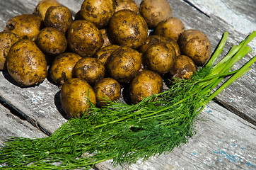Image showing Fresh potatoes and dill