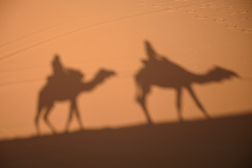 Image showing Camel shadows on Sahara Desert sand in Morocco.