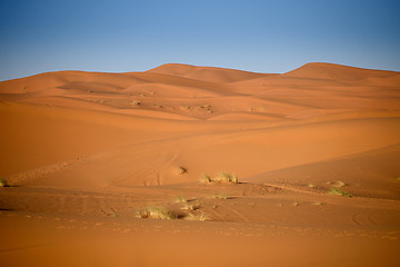 Image showing Dunes, Morocco, Sahara Desert