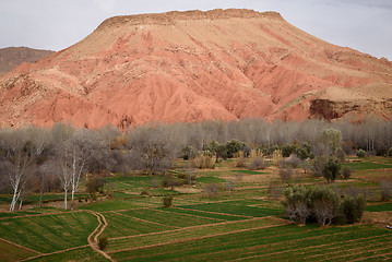 Image showing Scenic landscape in Dades Gorges, Atlas Mountains, Morocco